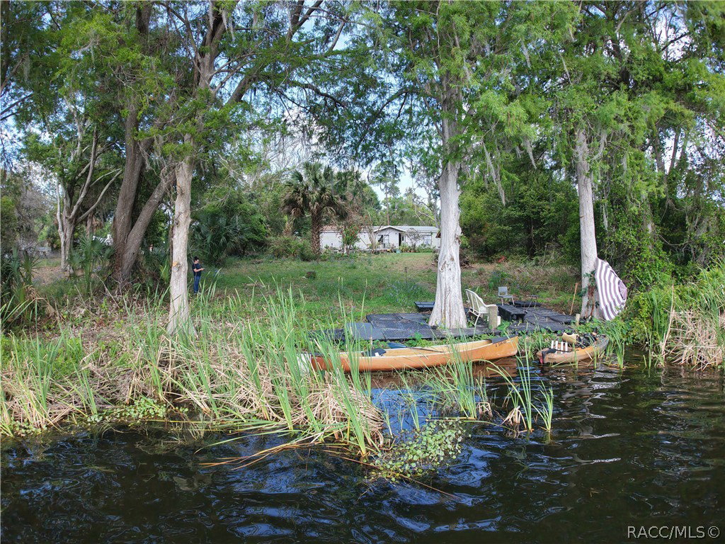 Media Image 1
