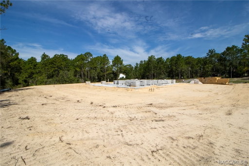Media Image 3