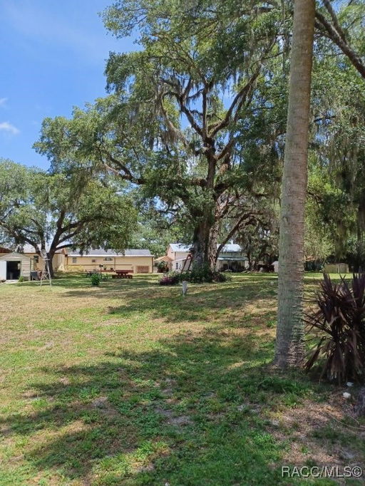 Media Image 2