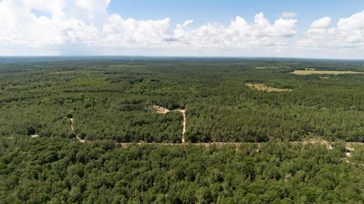 Media Image 3