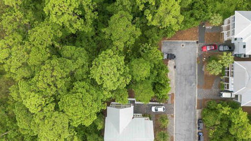 Media Image 2