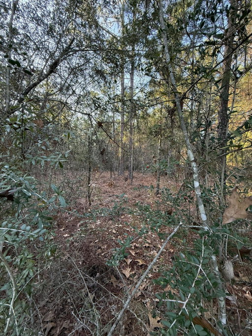 Media Image 3