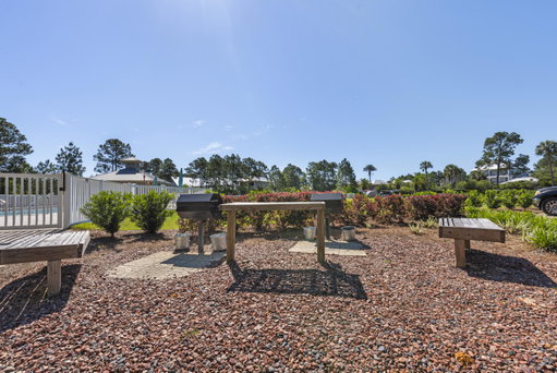 Media Image 2