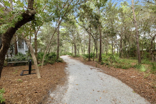 Media Image 3