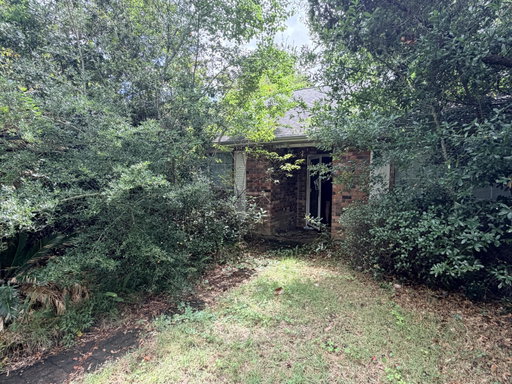 Media Image 2