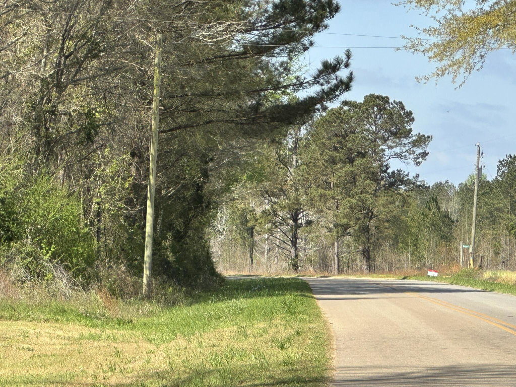 Image Unavailable