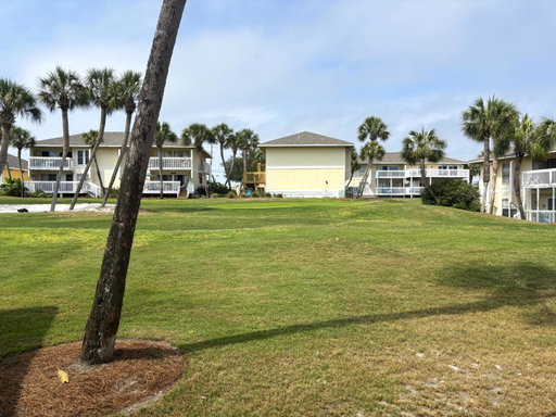 Media Image 2