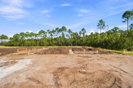 Media Image 3