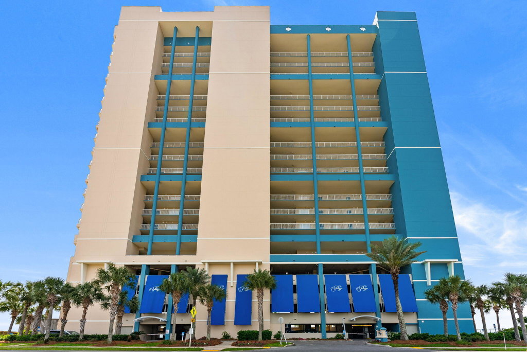 Media Image 1