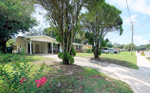 Media Image 3