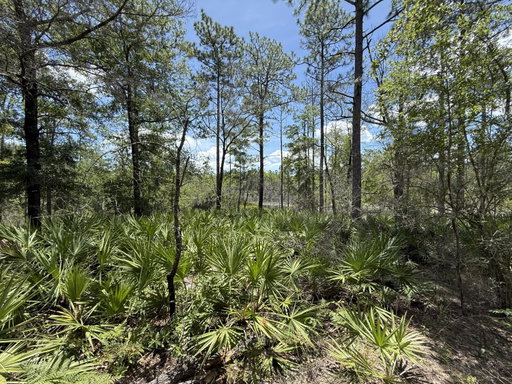 Media Image 2