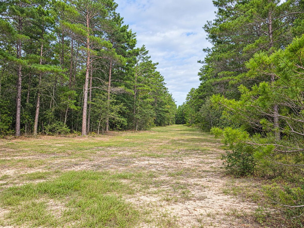 Image Unavailable