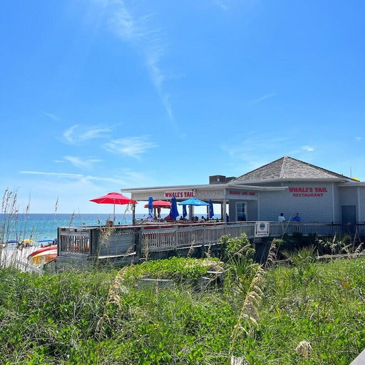 Media Image 2