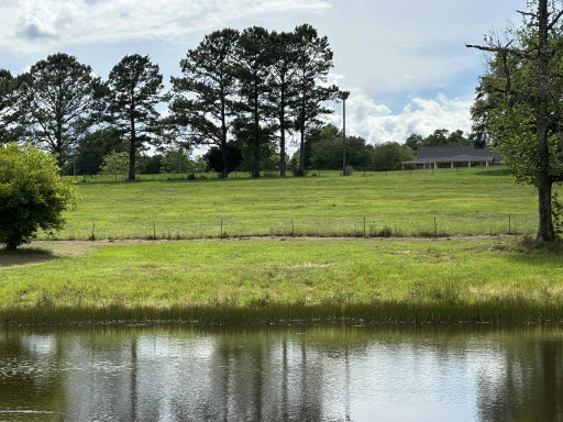 Media Image 3