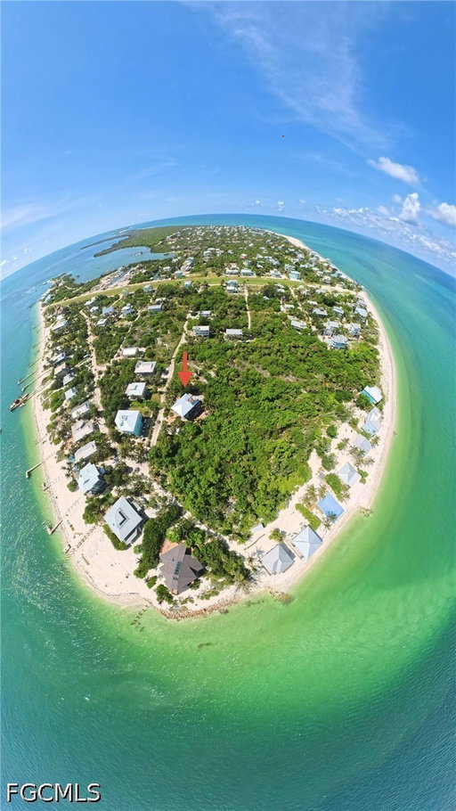 Media Image 2