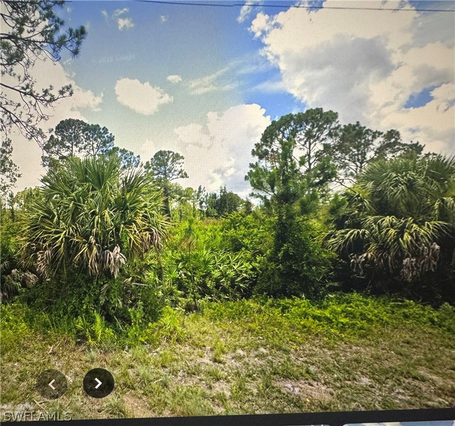 Image Unavailable