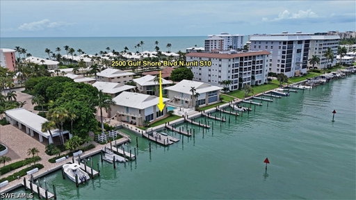 Media Image 2