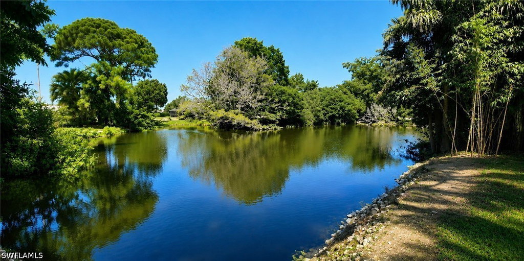 Media Image 1