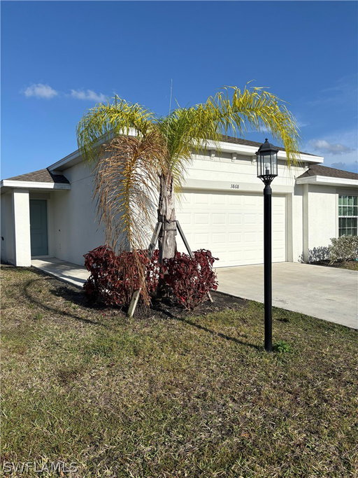 Media Image 2