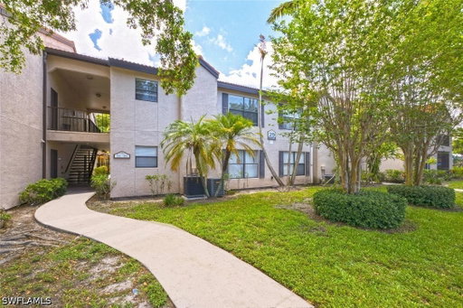 Media Image 2