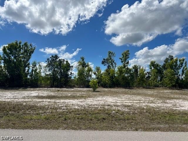 Image Unavailable