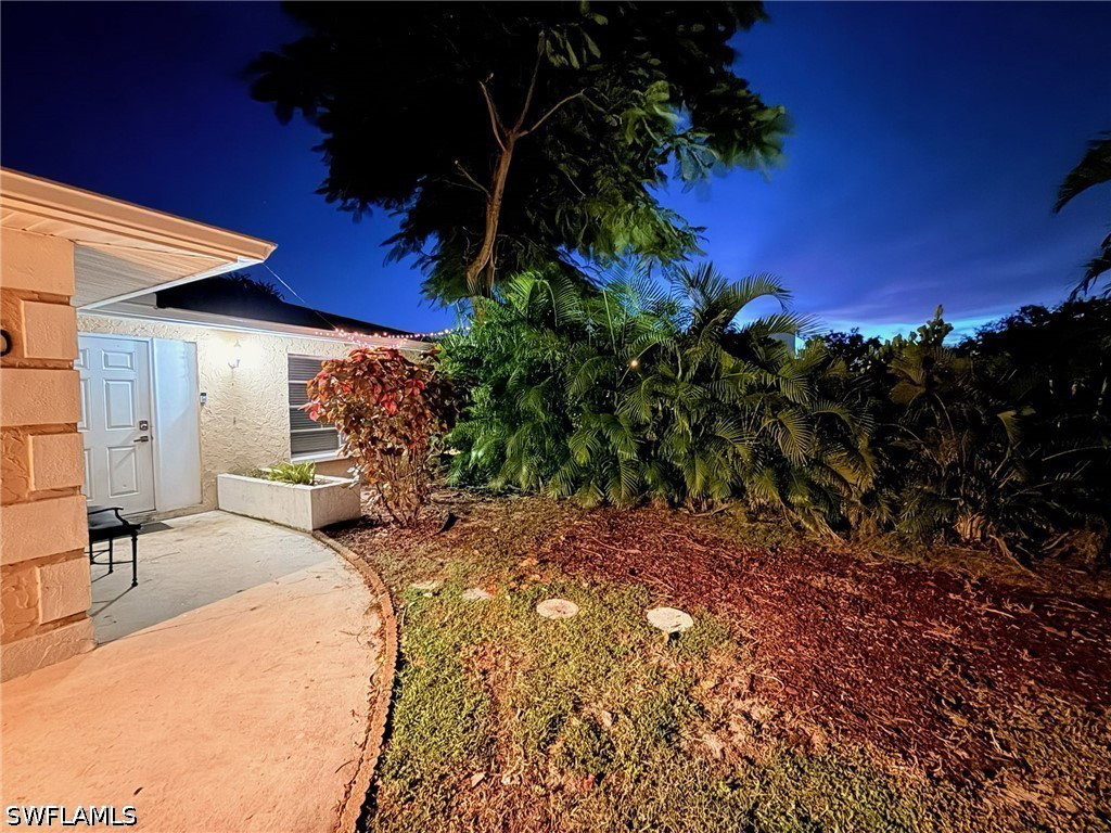 Media Image 1