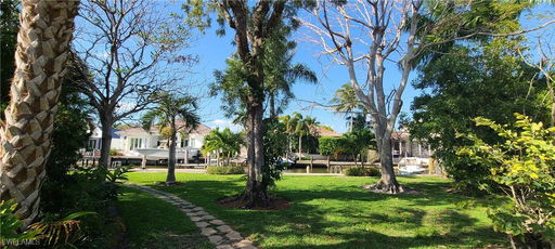 Media Image 2