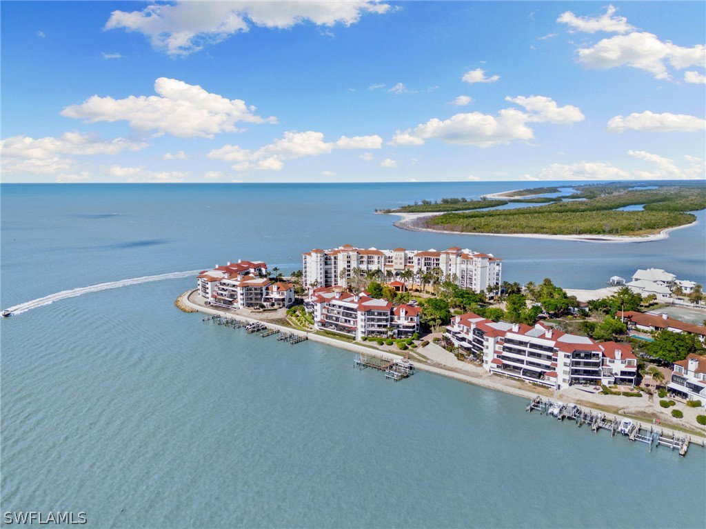 Media Image 1
