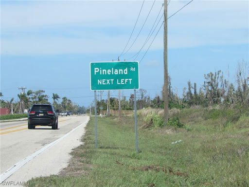 Media Image 2
