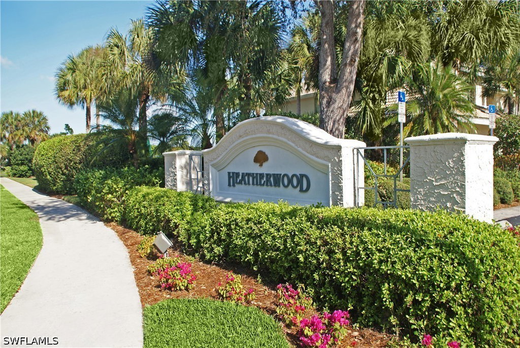 Media Image 1