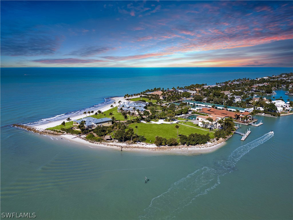 Media Image 1