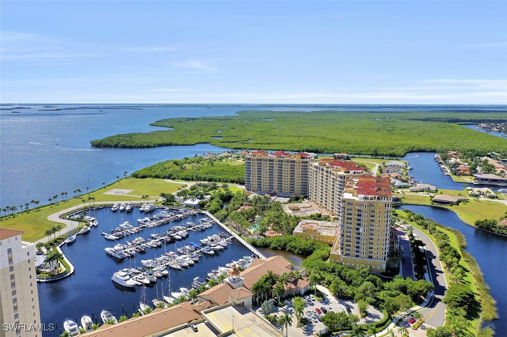 Media Image 1