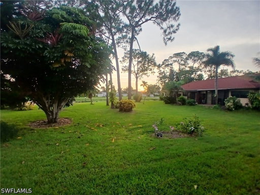 Media Image 2