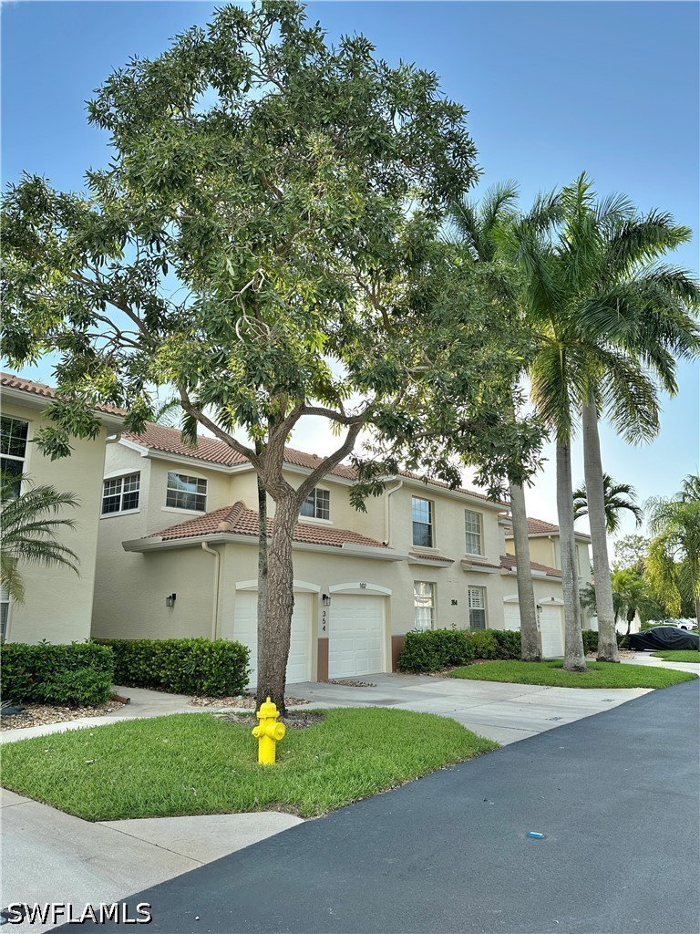 Media Image 1