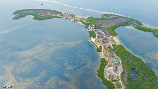 Media Image 2