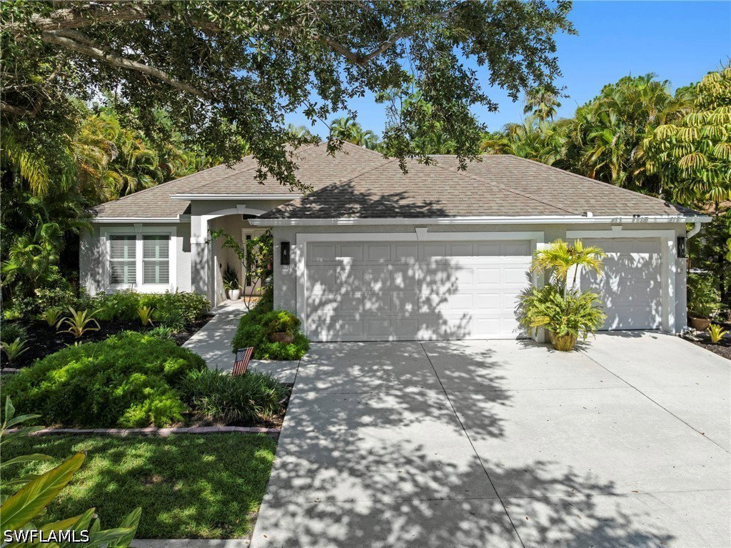 Media Image 1