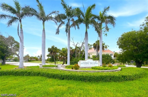 Media Image 2