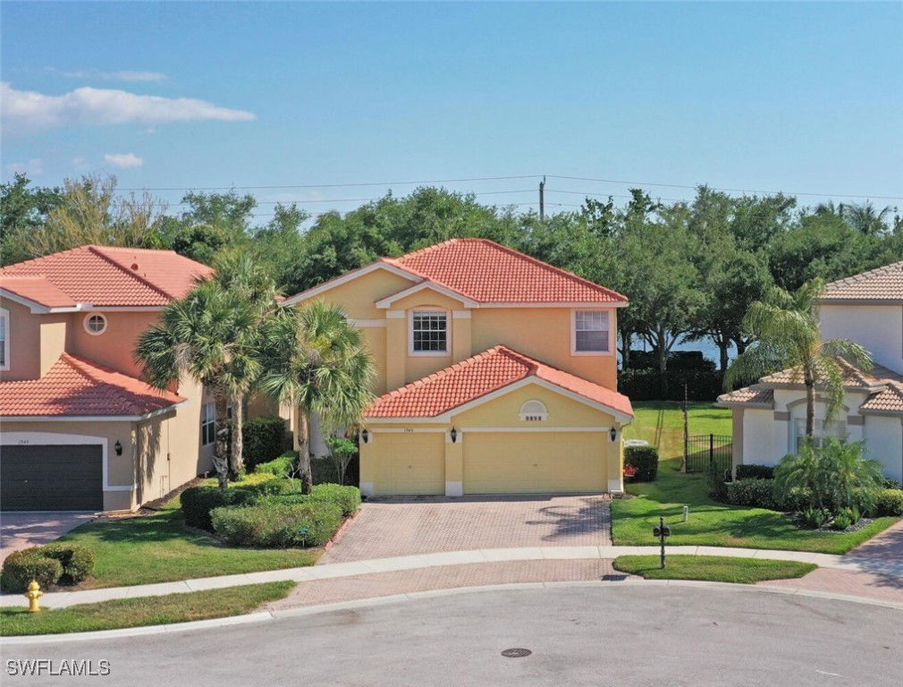 Media Image 1