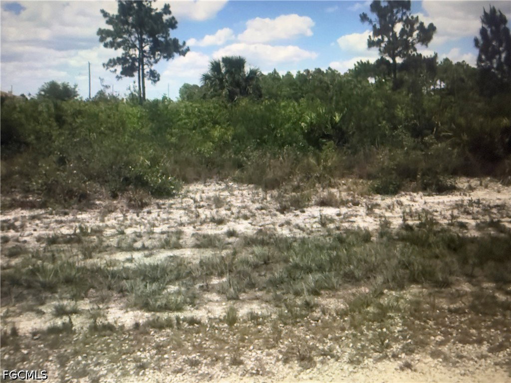 Image Unavailable