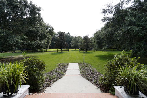 Media Image 3