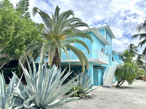 Media Image 2