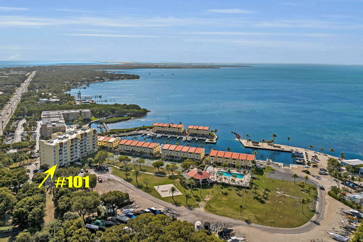 Media Image 2