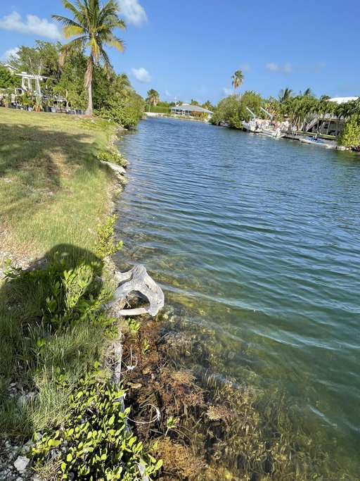 Media Image 3