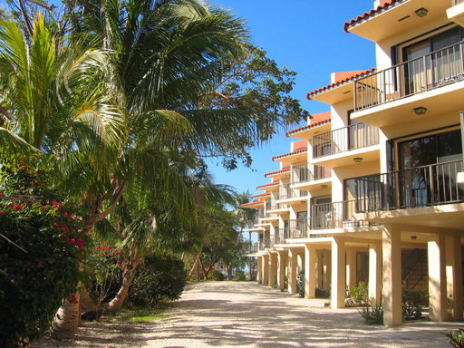 Media Image 2