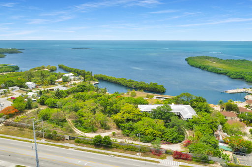 Media Image 3