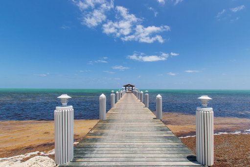 Media Image 3