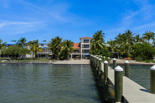 Media Image 3
