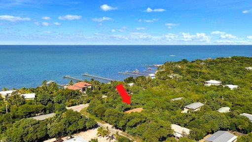 Media Image 2