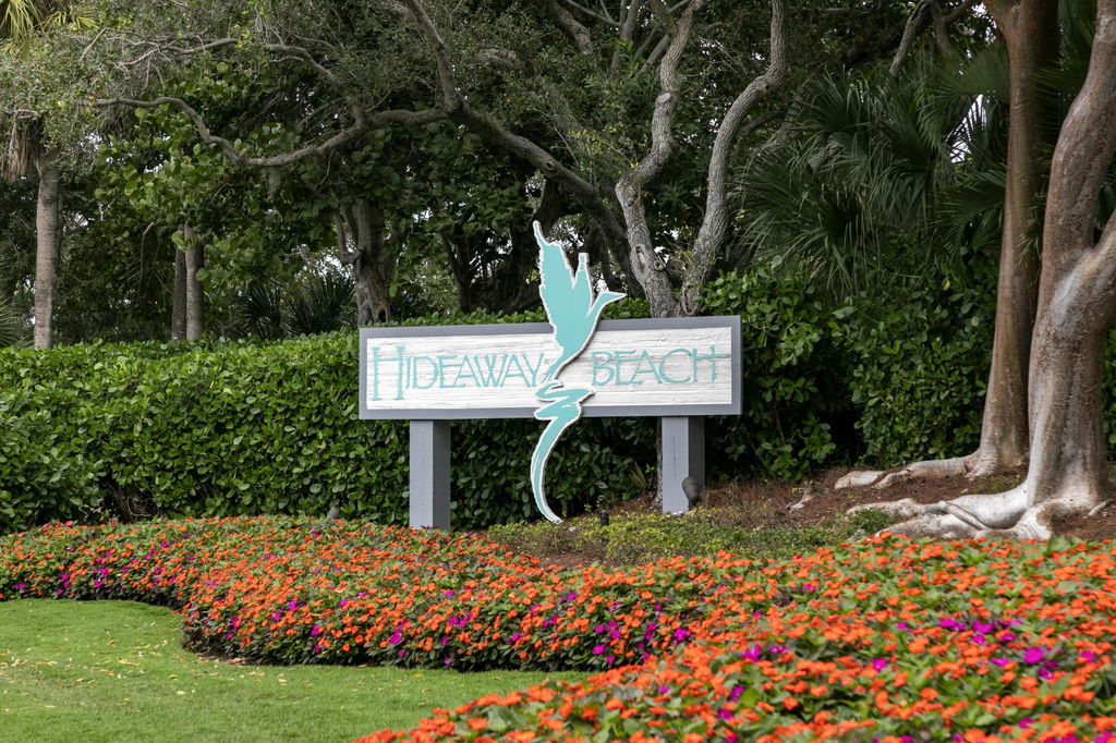 Media Image 1