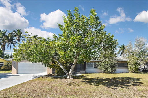Media Image 2